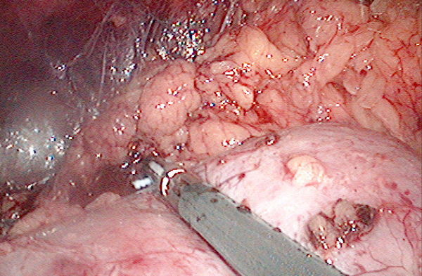 s软件图标,最新泾县高铁站,到北京旅游宣传语,
