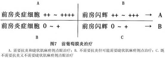 前葡萄膜炎