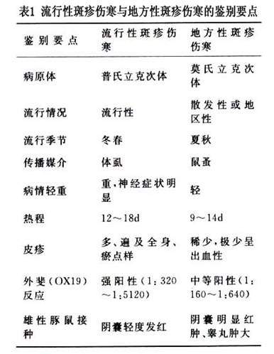 斑疹伤寒立克次体肺炎