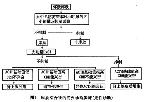 宽大紫纹,多血质,皮肤薄等典型临床表现,则可为库欣综合征的诊断提供