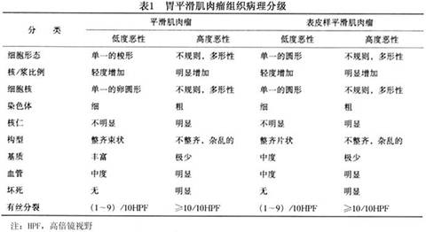 胃平滑肌肉瘤