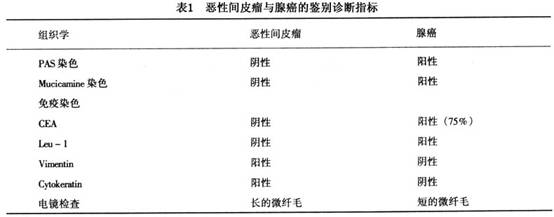 恶性间皮瘤