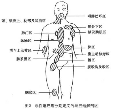 全身肌肉关节痛浅表淋巴结肿大,是什么病毒感染