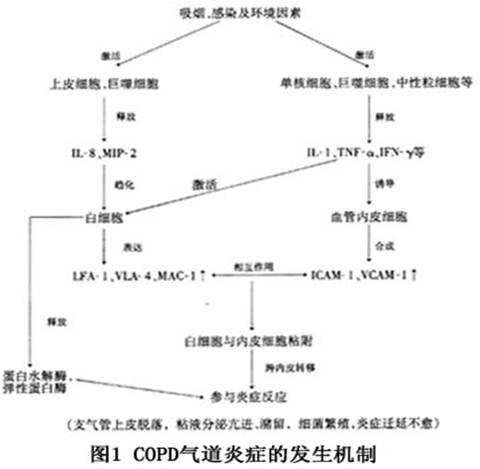 阻塞性肺气肿