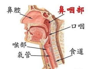 这些症状不是鼻咽癌病人的特有症状,其他许多耳鼻喉科非癌疾病也常