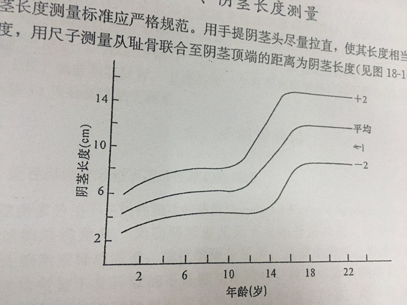 把躲起来的小鸡鸡找出来