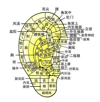 戴南gdp_戴南 以科技创新应对 经济寒潮(2)