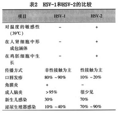 腹股溝肉芽腫