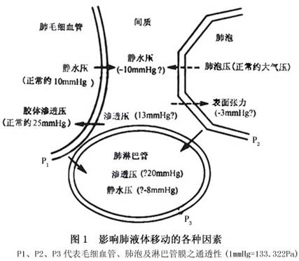 为什么血管渗透压的原理_血管痣图片(3)