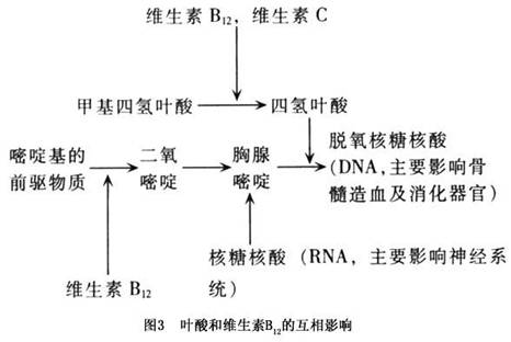 妊娠合并巨幼红细胞性贫血